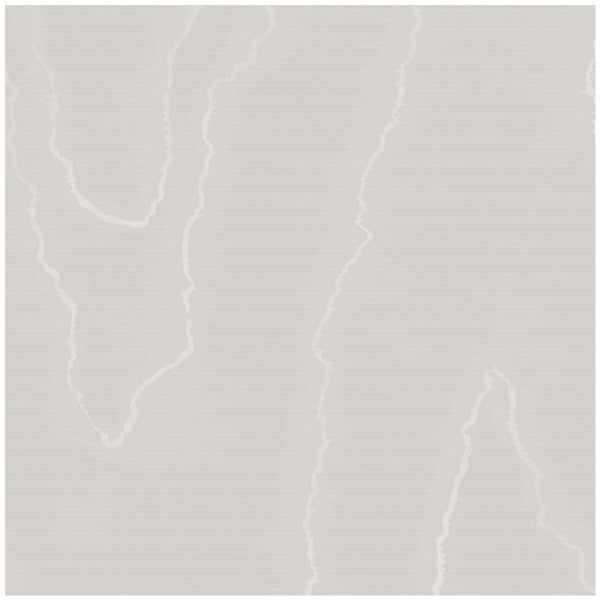 Watered Silk - Grey Grey By Cole & Son | Cole & Son Landscape Plains |  Wallcovering Print