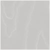 Watered Silk - Cloud Grey Slate By Cole & Son | Cole & Son Landscape Plains |  Wallcovering Print