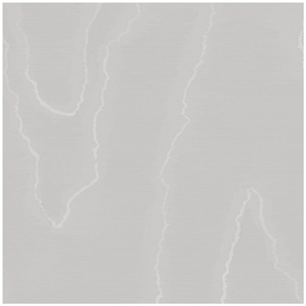 Watered Silk - Cloud Grey Slate By Cole & Son | Cole & Son Landscape Plains |  Wallcovering Print