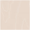 Watered Silk - Salmon Coral By Cole & Son | Cole & Son Landscape Plains |  Wallcovering Print