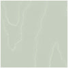 Watered Silk - Duck Egg Celery By Cole & Son | Cole & Son Landscape Plains |  Wallcovering Print