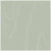Watered Silk - Sage Sage By Cole & Son | Cole & Son Landscape Plains |  Wallcovering Print