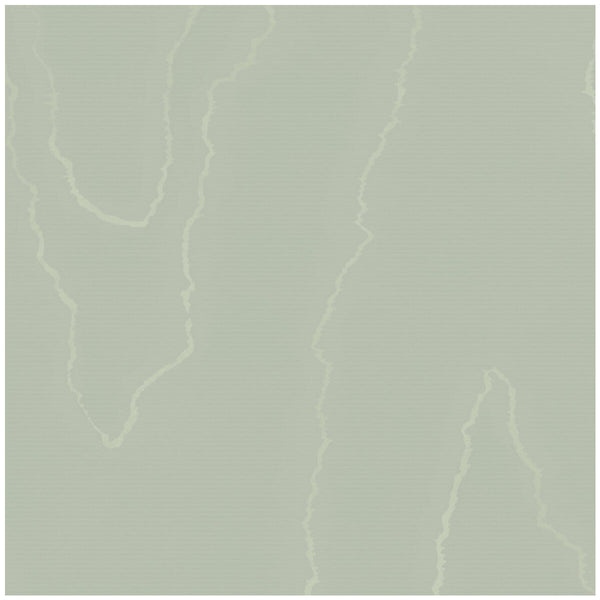 Watered Silk - Sage Sage By Cole & Son | Cole & Son Landscape Plains |  Wallcovering Print