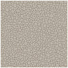 Pebble - Mushroom Taupe By Cole & Son | Cole & Son Landscape Plains |  Wallcovering Print