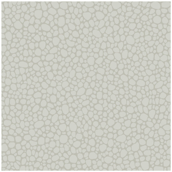 Pebble - Pale Grey Light Grey By Cole & Son | Cole & Son Landscape Plains |  Wallcovering Print