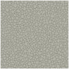 Pebble - Grey Grey By Cole & Son | Cole & Son Landscape Plains |  Wallcovering Print