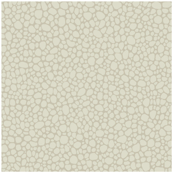 Pebble - Stone Slate By Cole & Son | Cole & Son Landscape Plains |  Wallcovering Print