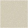 Pebble - Parchment Beige By Cole & Son | Cole & Son Landscape Plains |  Wallcovering Print