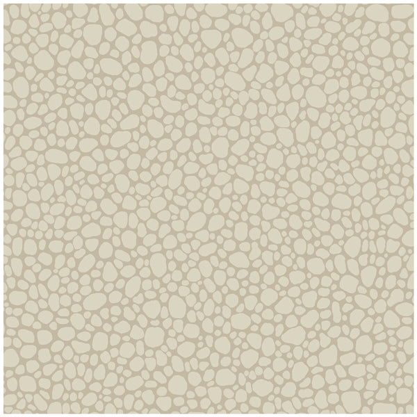 Pebble - Parchment Beige By Cole & Son | Cole & Son Landscape Plains |  Wallcovering Print