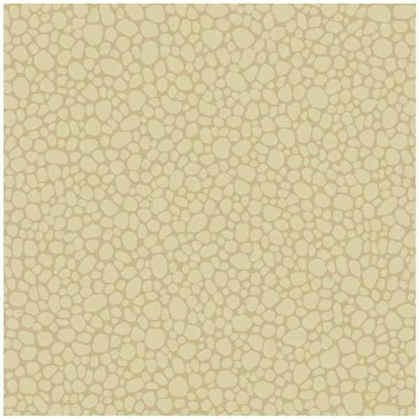 Pebble - Latte Beige | Cole & Son