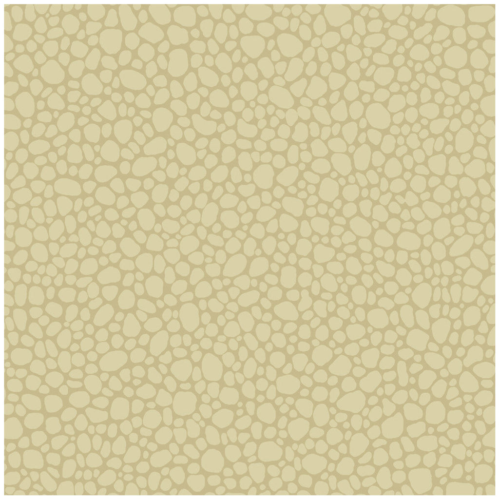 Pebble - Latte Beige By Cole & Son | Cole & Son Landscape Plains |  Wallcovering Print