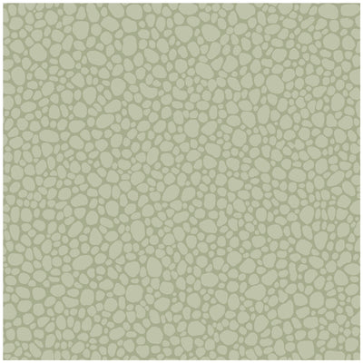 Pebble - Sage | Cole & Son