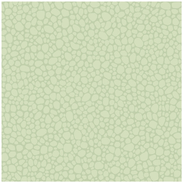 Pebble - Duck Egg Celery By Cole & Son | Cole & Son Landscape Plains |  Wallcovering Print