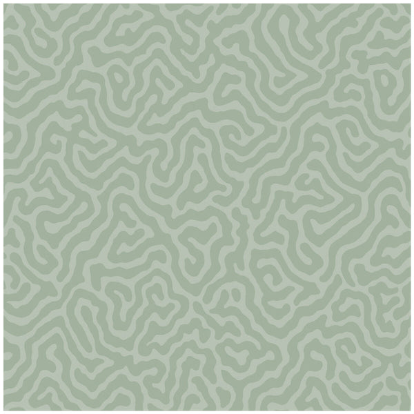 Coral - Sage Sage By Cole & Son | Cole & Son Landscape Plains |  Wallcovering Print