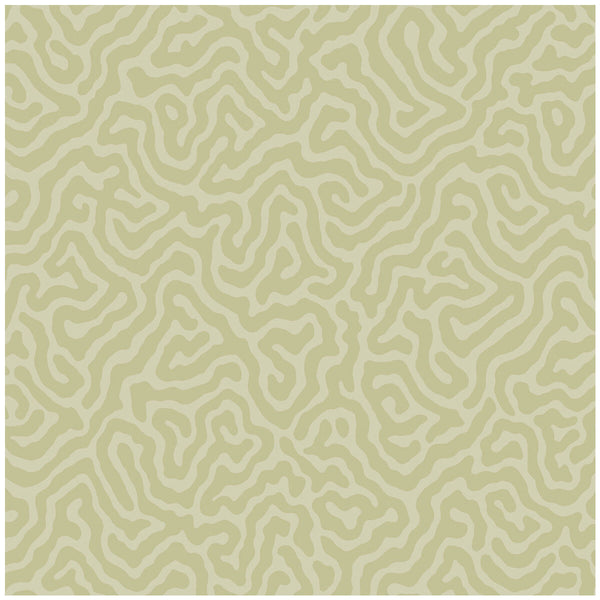 Coral - Old Olive Olive Green By Cole & Son | Cole & Son Landscape Plains |  Wallcovering Print