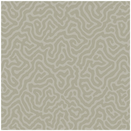 Coral - Stone Grey | Cole & Son