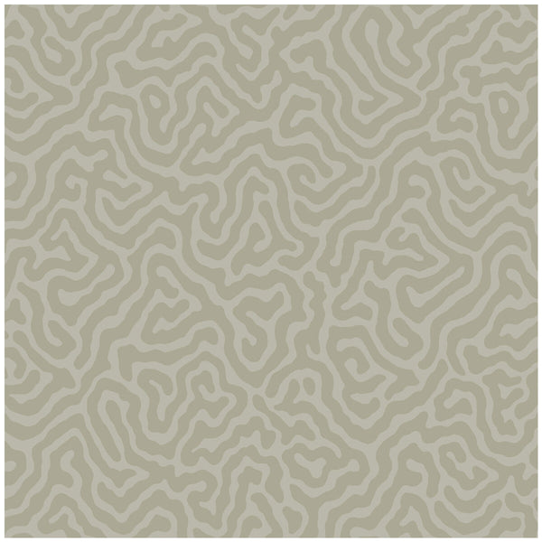 Coral - Stone Grey By Cole & Son | Cole & Son Landscape Plains |  Wallcovering Print