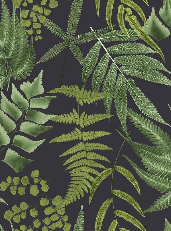 Midsummer Fern Black Wallcovering | Graham & Brown