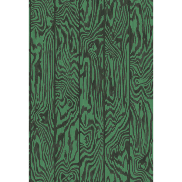 Zebrawood - Emerald Green By Cole & Son | Cole & Son Curio |  Wallcovering Print