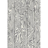 Zebrawood - Black & White Black By Cole & Son | Cole & Son Curio |  Wallcovering Print
