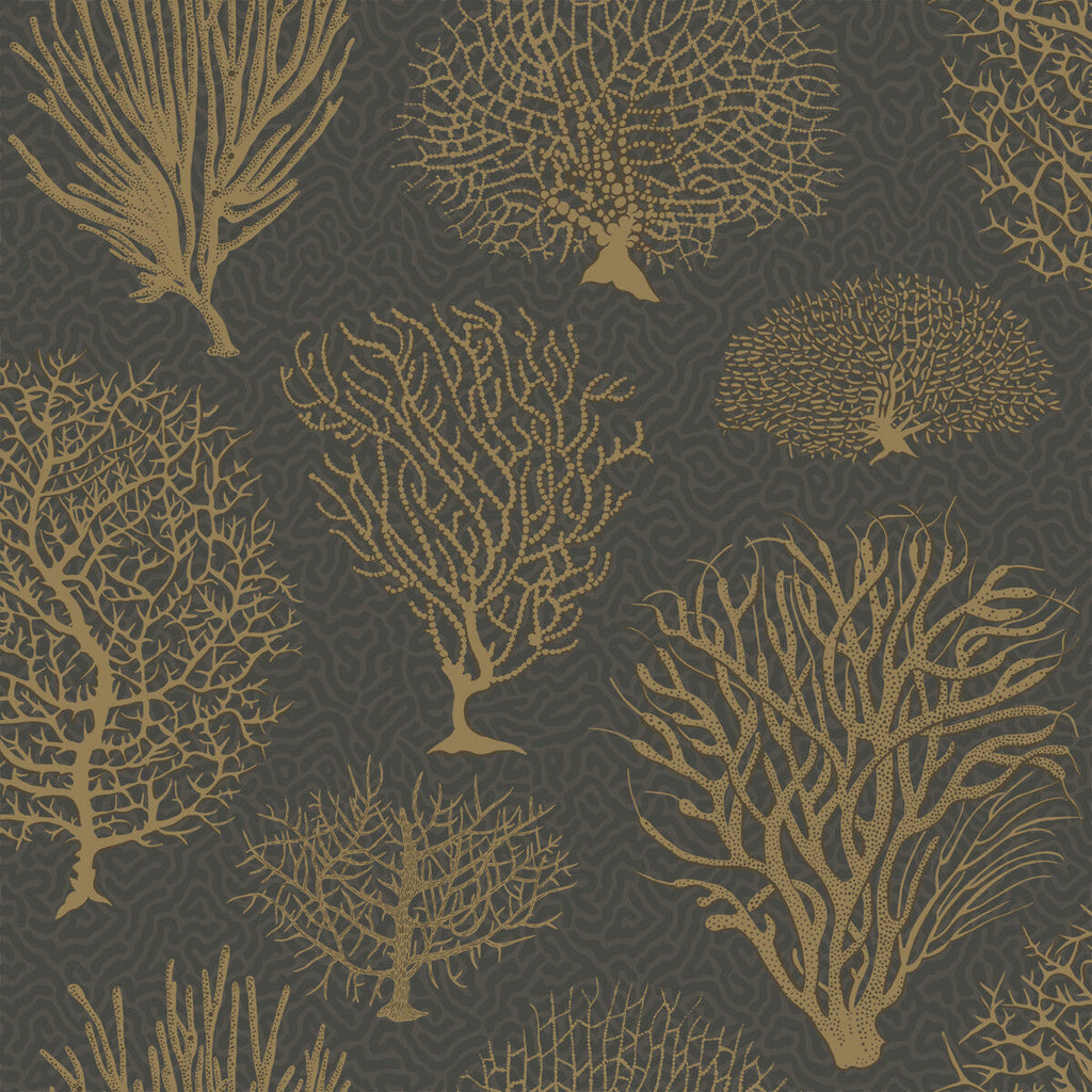 Seafern - Black & Gold Black By Cole & Son | Cole & Son Curio |  Wallcovering Print