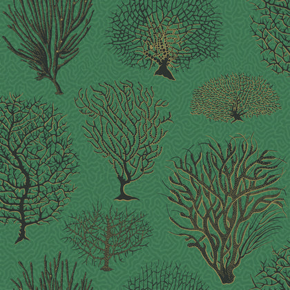 Seafern - Emerald | Cole & Son