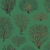Seafern - Emerald Emerald By Cole & Son | Cole & Son Curio |  Wallcovering Print