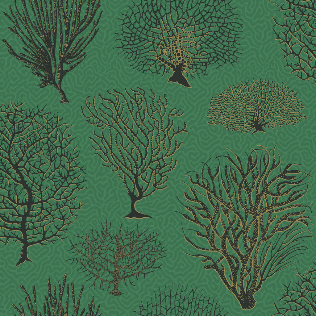 Seafern - Emerald Emerald By Cole & Son | Cole & Son Curio |  Wallcovering Print