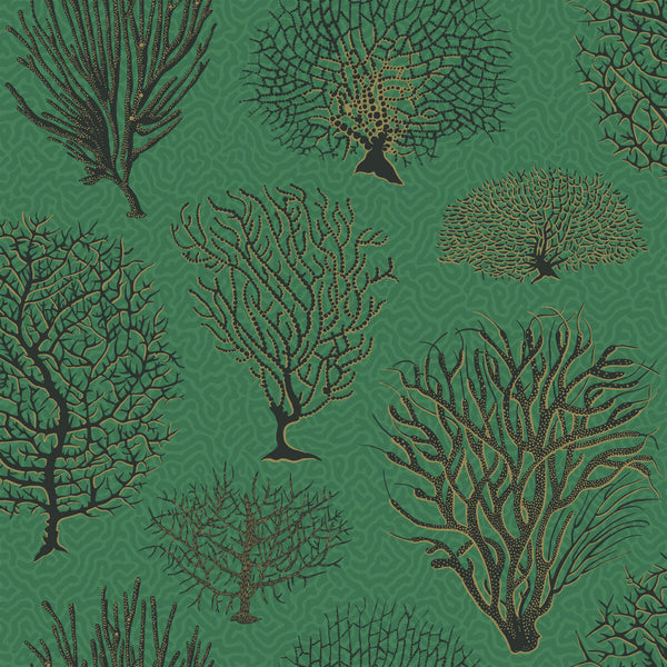 Seafern - Emerald Emerald By Cole & Son | Cole & Son Curio |  Wallcovering Print