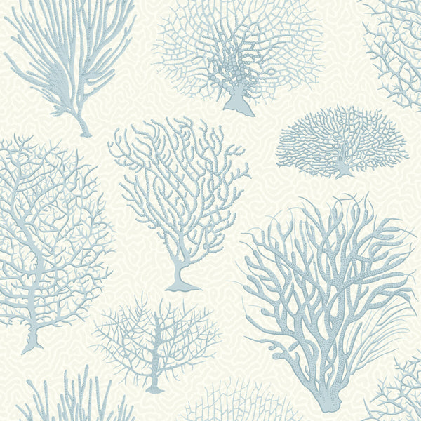 Seafern - Blue Light Blue By Cole & Son | Cole & Son Curio |  Wallcovering Print