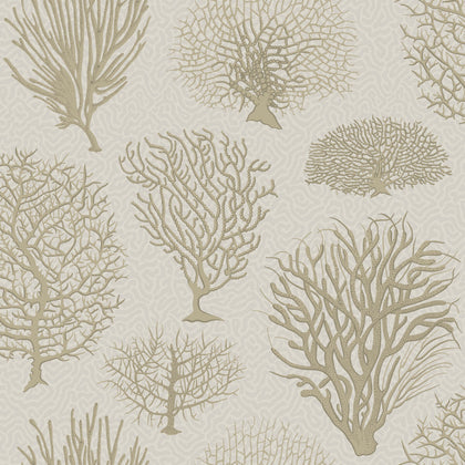 Seafern - Stone Taupe | Cole & Son