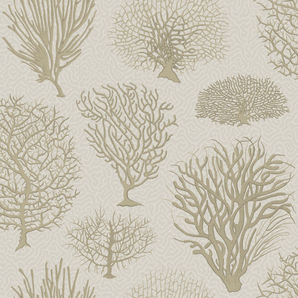 Seafern - Stone Taupe By Cole & Son | Cole & Son Curio |  Wallcovering Print