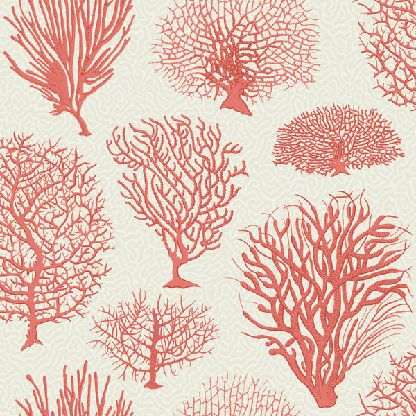 Seafern - Coral Coral By Cole & Son | Cole & Son Curio |  Wallcovering Print