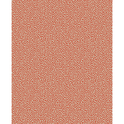 Vermicelli - Coral Orange | Cole & Son