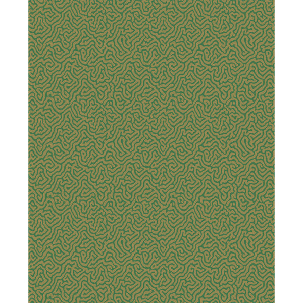 Vermicelli - Green & Gold Green By Cole & Son | Cole & Son Curio |  Wallcovering Print