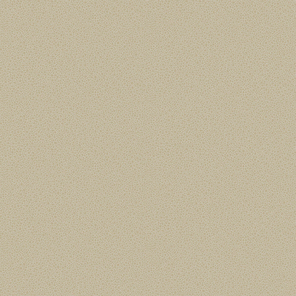Goldstone - Stone & Gilver Metallic By Cole & Son | Cole & Son Curio |  Wallcovering Print