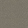 Goldstone - Black & Silver Silver By Cole & Son | Cole & Son Curio |  Wallcovering Print