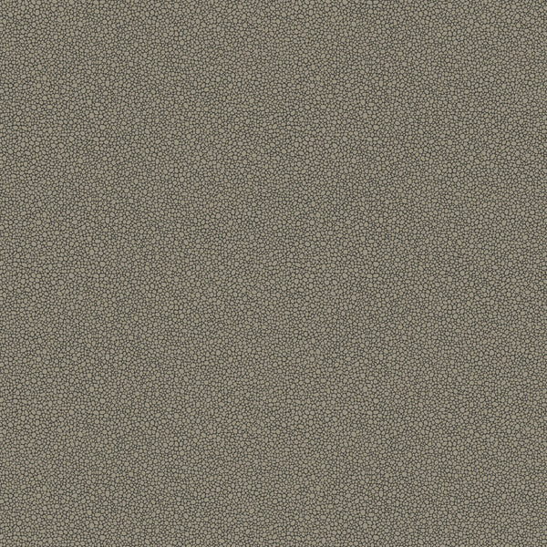 Goldstone - Black & Silver Silver By Cole & Son | Cole & Son Curio |  Wallcovering Print