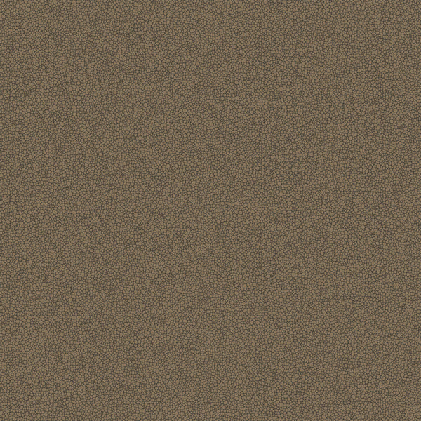 Goldstone - Black & Bronze | Cole & Son