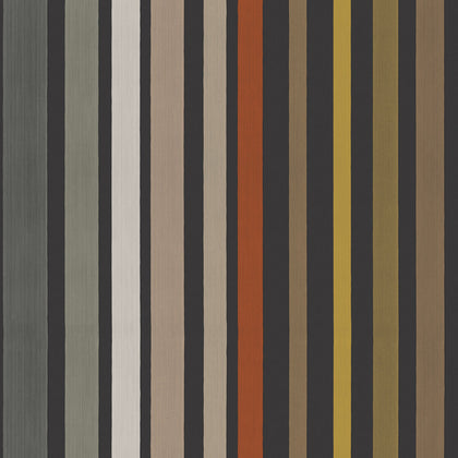 Carousel Stripe - Charcoal Multi | Cole & Son