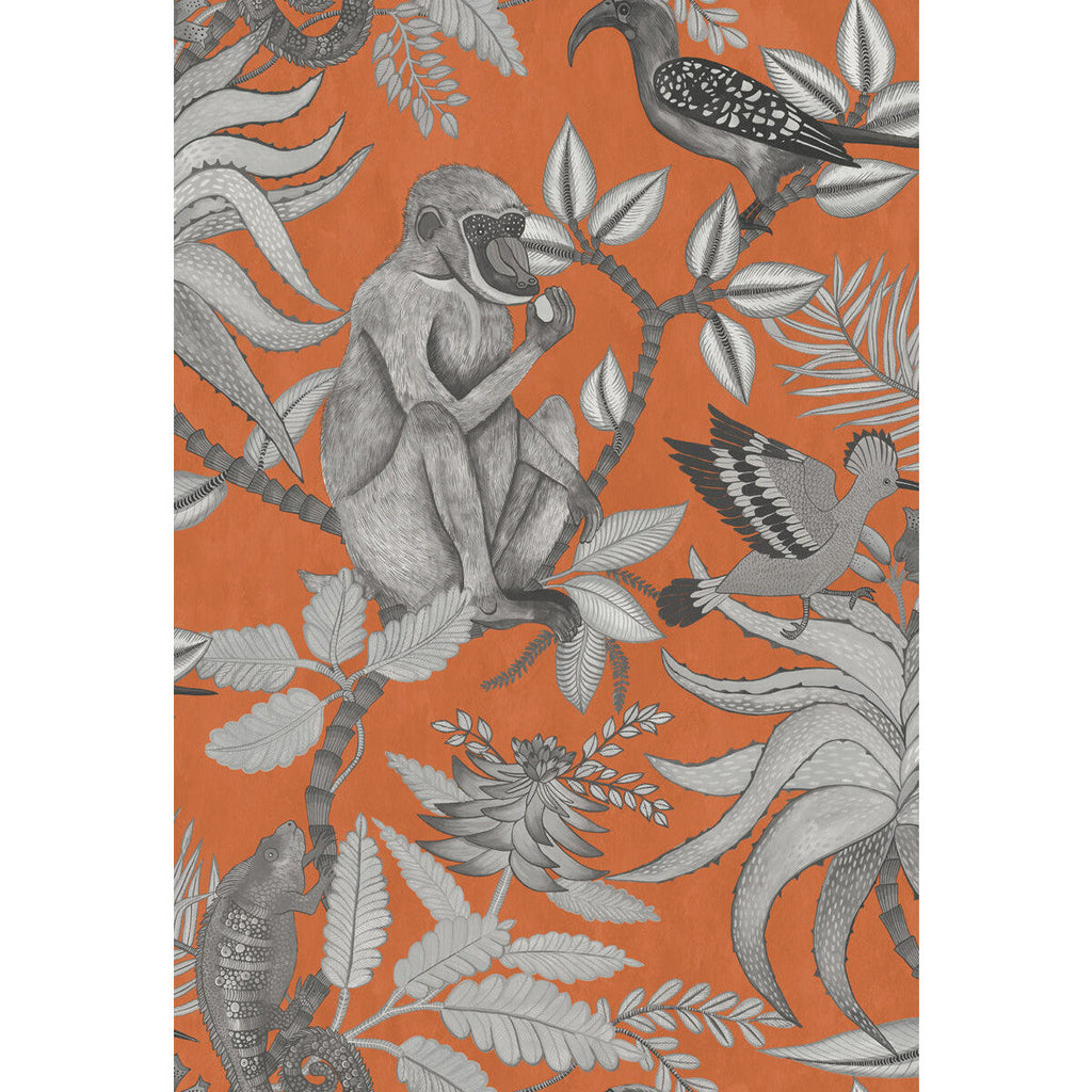 Savuti - Orange Orange By Cole & Son | Cole & Son Ardmore |  Wallcovering Print