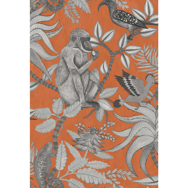 Savuti - Orange Orange By Cole & Son | Cole & Son Ardmore |  Wallcovering Print