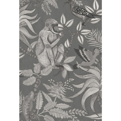 Savuti - Charcoal | Cole & Son