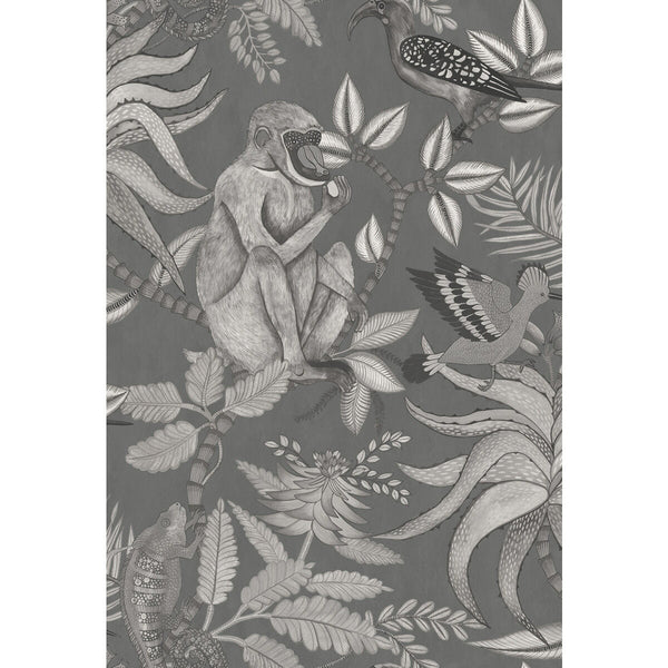 Savuti - Charcoal Charcoal By Cole & Son | Cole & Son Ardmore |  Wallcovering Print