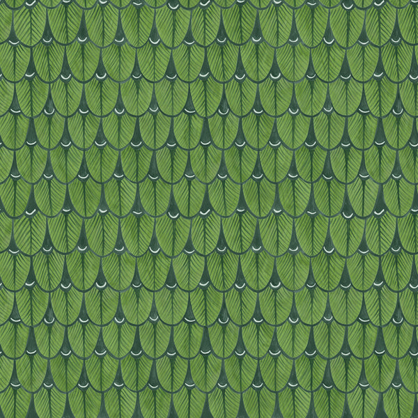 Narina - Leaf Green Green By Cole & Son | Cole & Son Ardmore |  Wallcovering Print