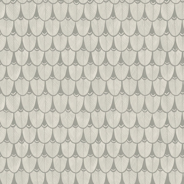 Narina - Soft Grey Grey By Cole & Son | Cole & Son Ardmore |  Wallcovering Print