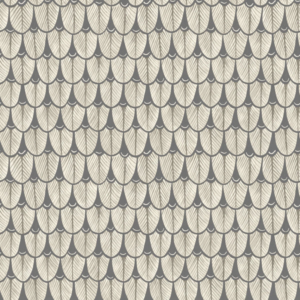 Narina - Black & White Charcoal By Cole & Son | Cole & Son Ardmore |  Wallcovering Print