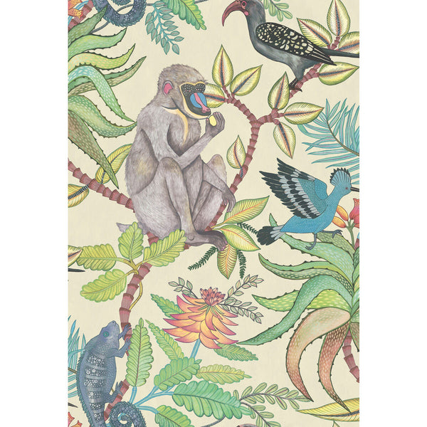 Savuti - Cream Multi | Cole & Son