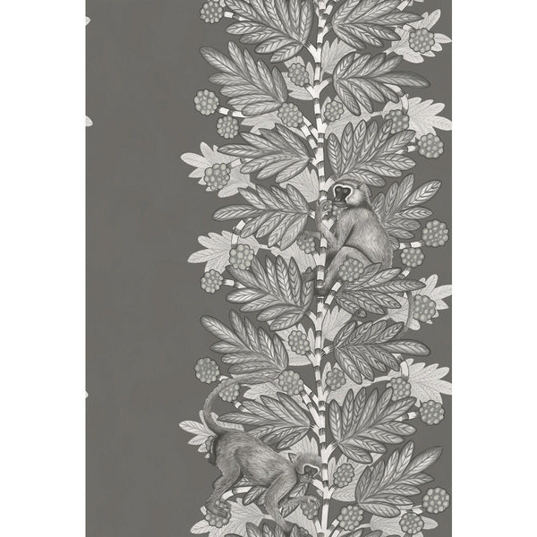 Acacia - Charcoal & Silver Charcoal | Cole & Son