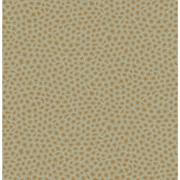 Senzo Spot - Olive Khaki By Cole & Son | Cole & Son Ardmore |  Wallcovering Print